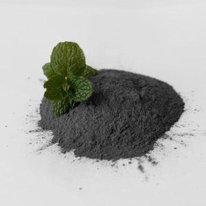 Charcoal Mint Tooth Powder