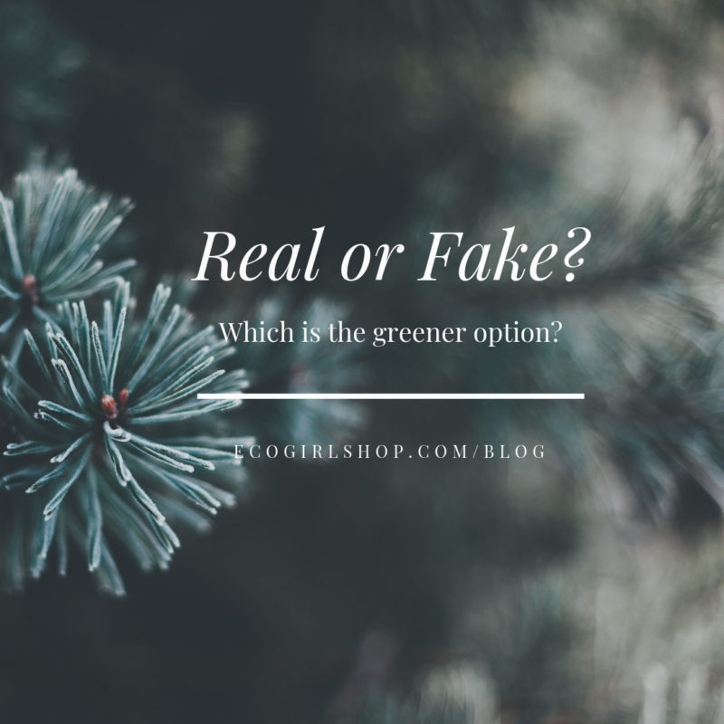 Which Is More Eco-Friendly? A Real Or A Fake Christmas Tree? - Eco Girl ...