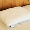 Holy Lamb Organics Wooly Down Pillow
