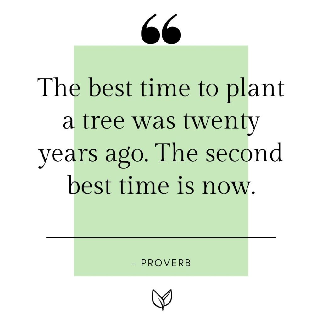 the best time to plant a tree was twenty years ago. the second best time is now