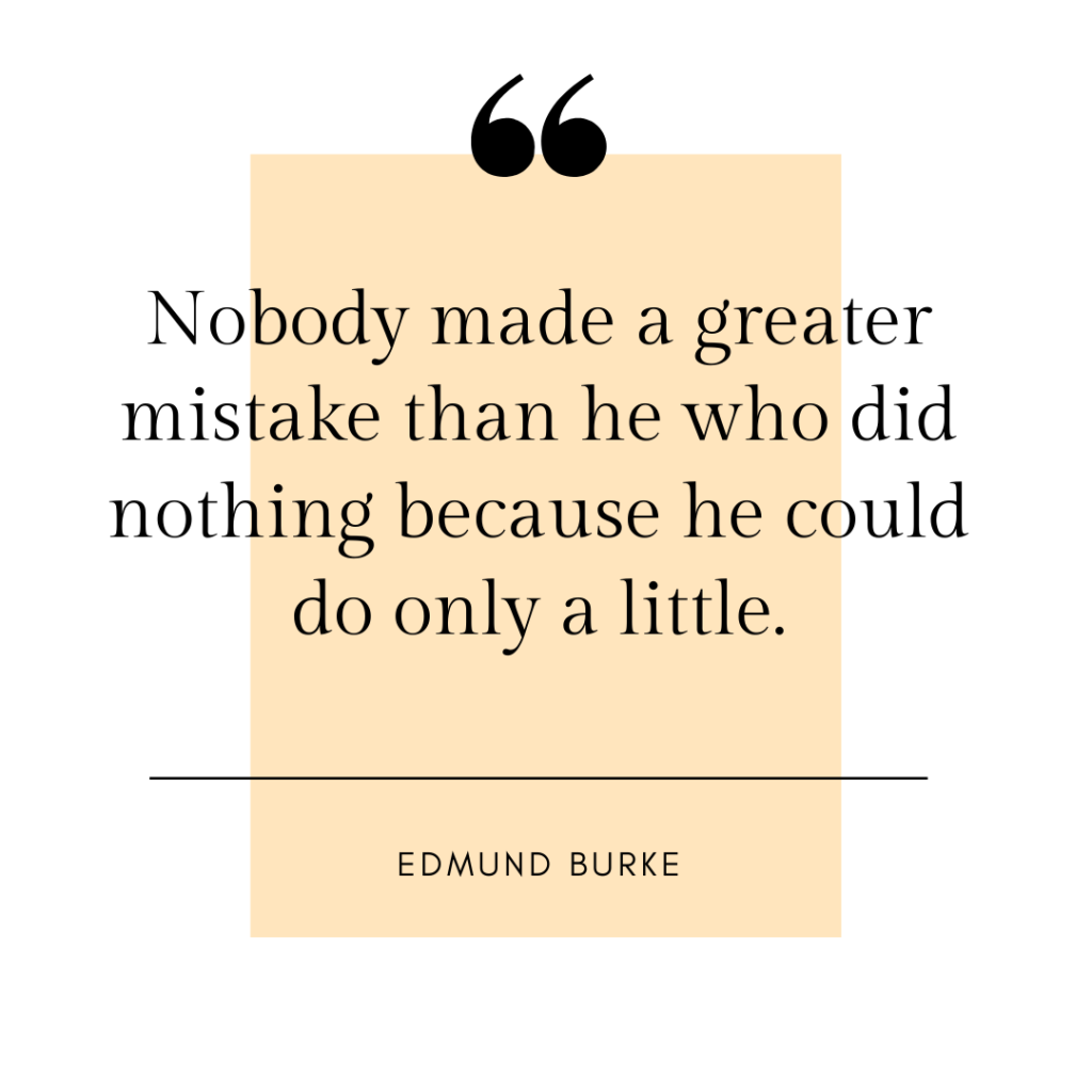 nobody made a greater mistake than he who did nothing because he could do only a little - edmund burke