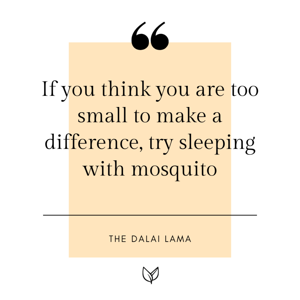 "If you think you are too small to make a difference, try sleeping with mosquito."