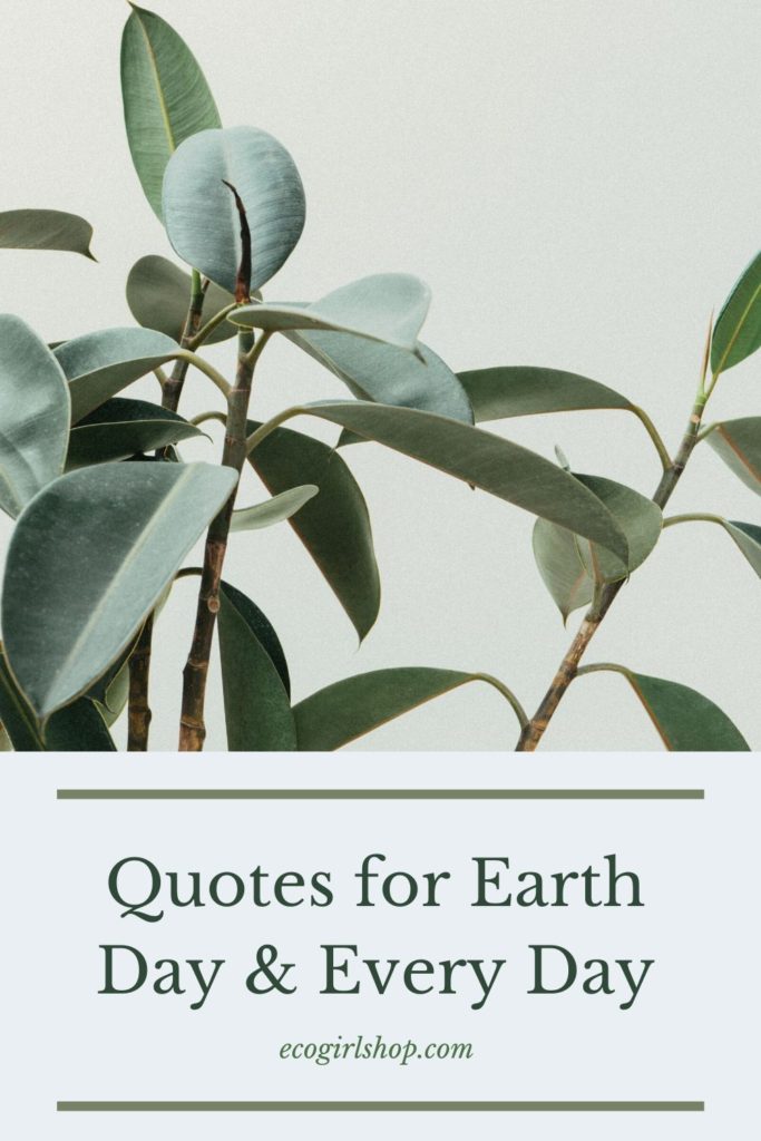 Quotes for Earth Day ... and every day! empowering zero waste quotes