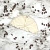 cloth coffee filters handmade in USA