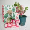 Cactus wrapping paper eco friendly