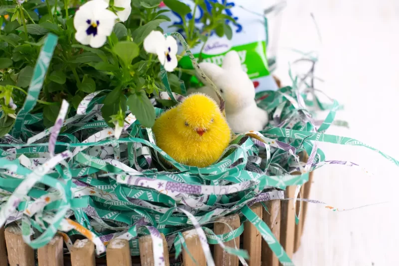 ecofriendly easter grass for easter baskets