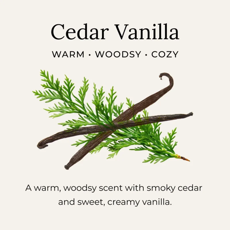 Cedar Vanilla Deodorant